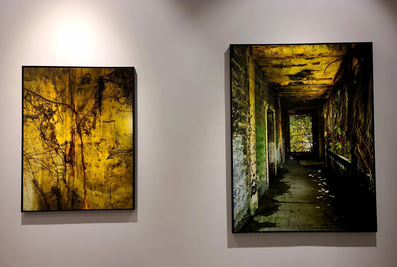 Galerie Cécile Fakhoury